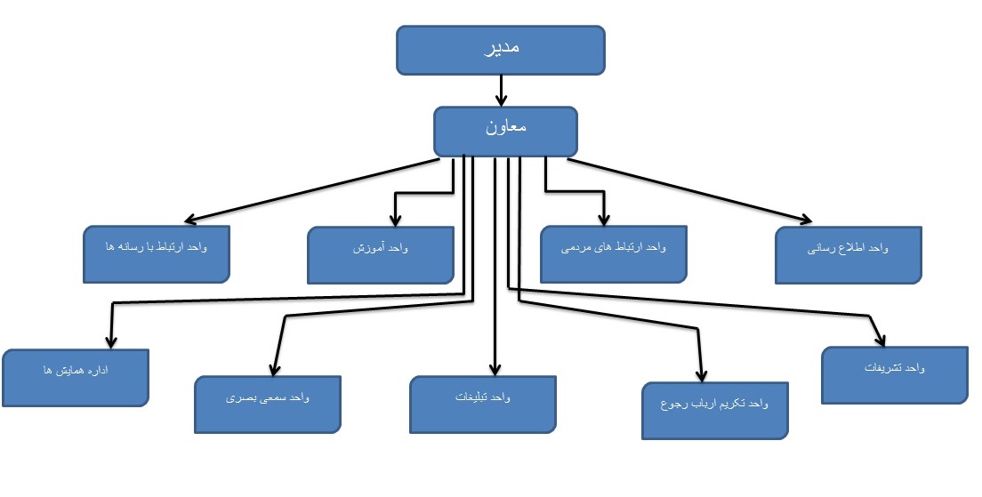 چارت سازمانی